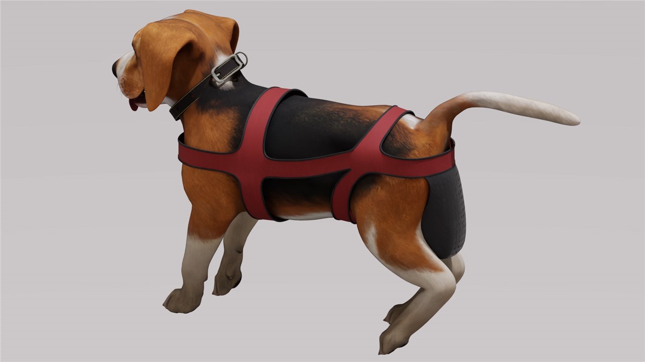 PoochPort biodegradable snap-fit collection pouch