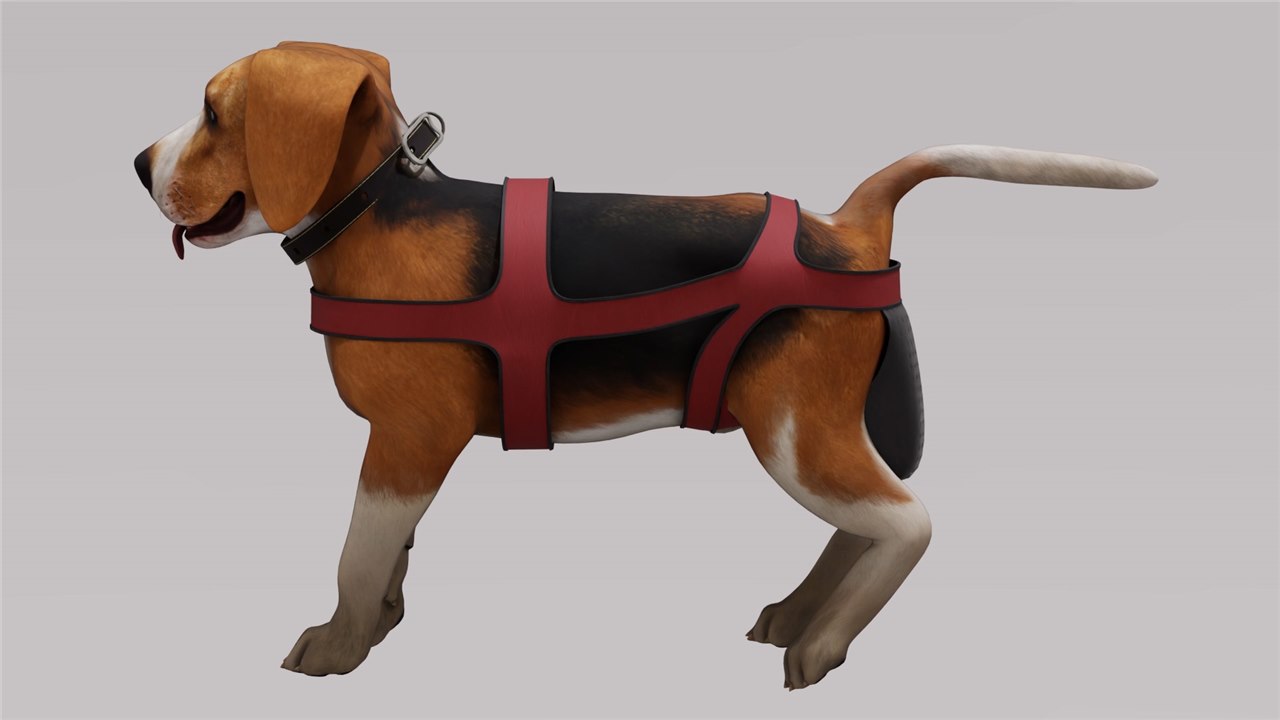 PoochPort detachable smart-sensor module